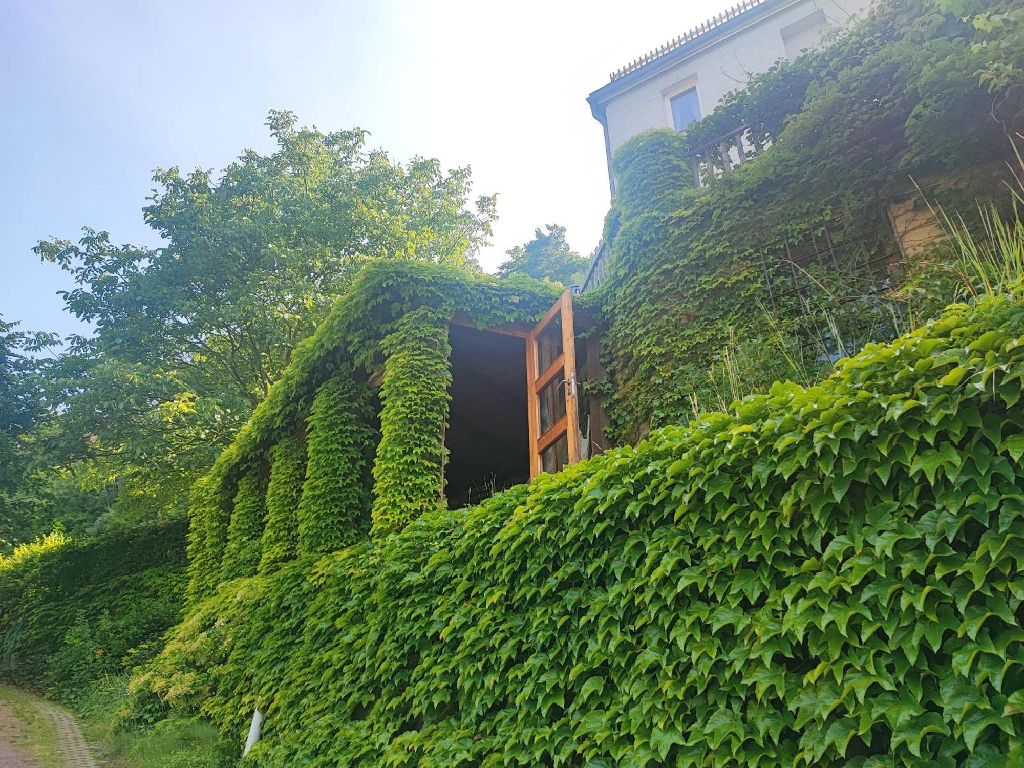 Penzion Přívoz Hřensko Quarto foto
